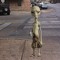 alien neighbor nation