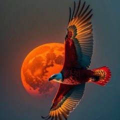 🐲الدولة🔥عم⭐مملگة👁VIP👁الكوكب⭐🐬4Ĥady🩵🤍🥇👑🦅