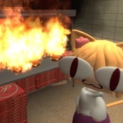 Milka_cat