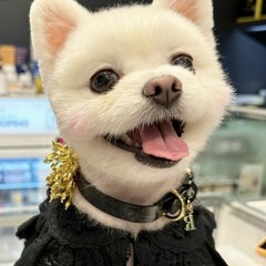 2루루