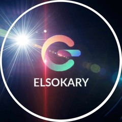 elsokary car accessories