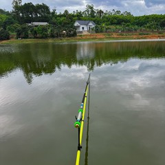Phương ✨🐸
