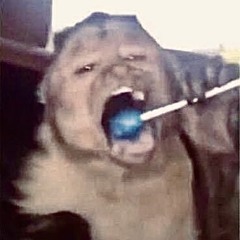 Raphael Bautista ✤฿ȺɄȾḬṦȾȺ✤