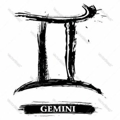 LU-THE-GEMINI.