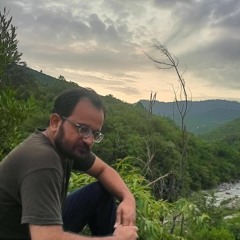 Syed Laraib Ali