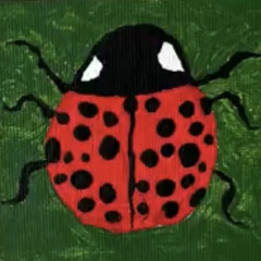 CcaptainBugg AKA Bugmaster2005