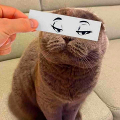 taco truc