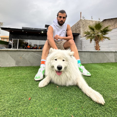 mostafa nemati