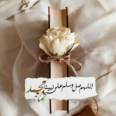 Mahmoud Nasr Mohamed