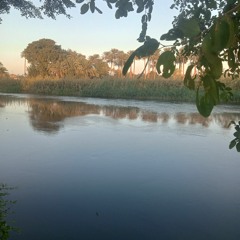 خوفو مصر