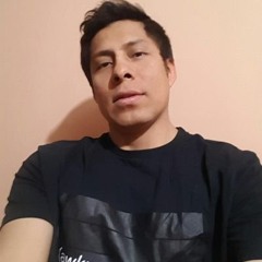 Vicente Palmer