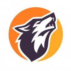 badd wolf music