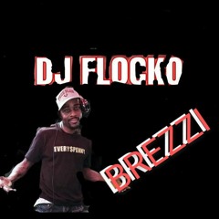 DJ FlockoBrezzi