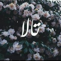 Nour Hassan