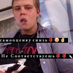 упала228