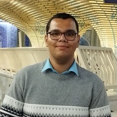 Reza Moghbelalhossain