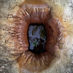 RectumPhallusUnity ⚣