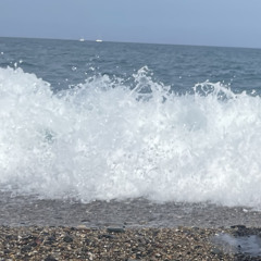 *•._.•*•._.•*