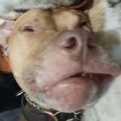STONED