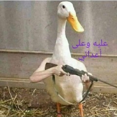 Ahmed Naeem