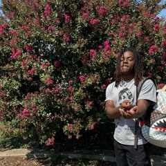 Marvsrvn