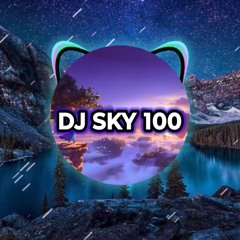 DJ SKY 100