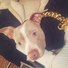 HIGH LIFE BABY