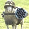 TheSheep