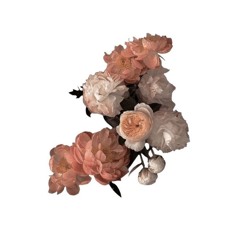 Aʀᴍᴏʀʏ  ＶＩＩ