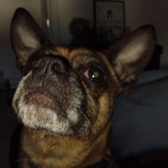 lucas