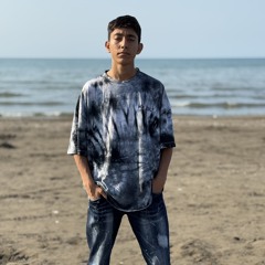 kasra habibi