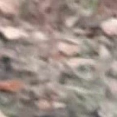 Fresh Prince picture