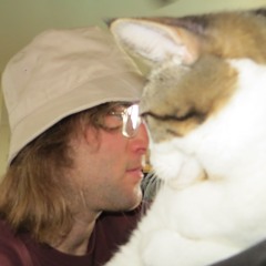 I Will Not Think About It (caaat walks on mix)