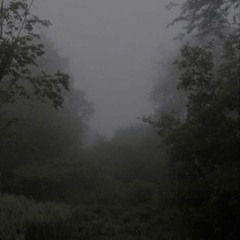 Treexed
