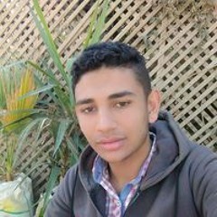 Mohamed Rabiea Jebali