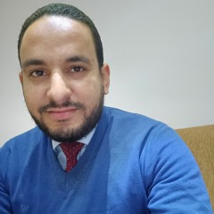 Mohamed Mosleh abd elrahman elgamal