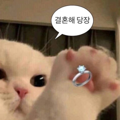 기모찌