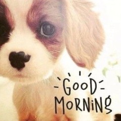 ninetynine ᶻ 𝗓 𐰁