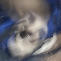 Doing Mr Holzers homework