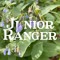 Junior Ranger