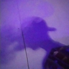 ferni