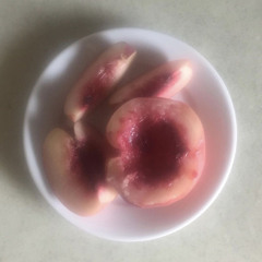 ⋆୨୧ ₊ﾟ✧ ⊹ɞ⋆