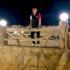 Mahmoud Mohyy