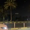 زهَره