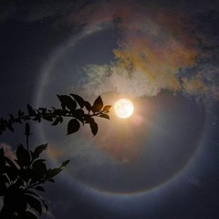 Sadia_Mukhtar_Sadozai🌼