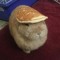 Softie_Official