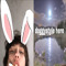 www.moonrocky.com