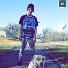 michael-barnabo-rose