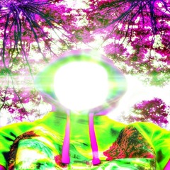 HEMIVOID