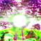 HEMIVOID